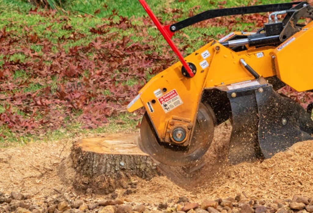 Heavy-duty stump grinding equipment removing a residential tree stump to create a smooth, landscape-ready yard