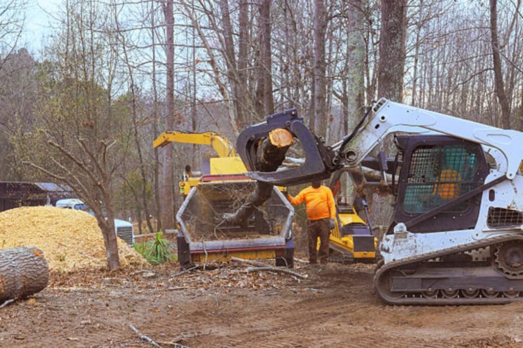 Residential property after professional tree removal with logs processed and the hazardous tree safely removed in Maryland Heights, MO.