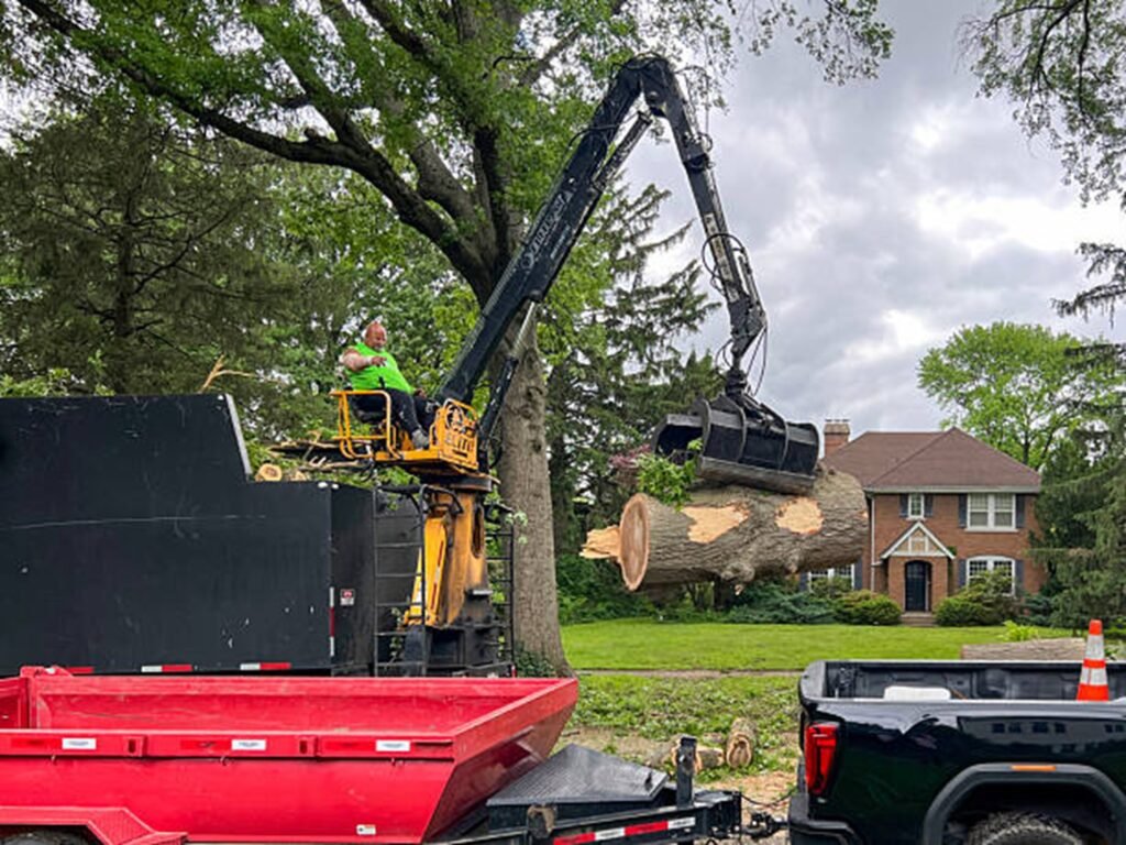 Professional tree removal crew using heavy equipment to safely lift and remove large tree sections during a residential tree removal project in Wentzville, MO.