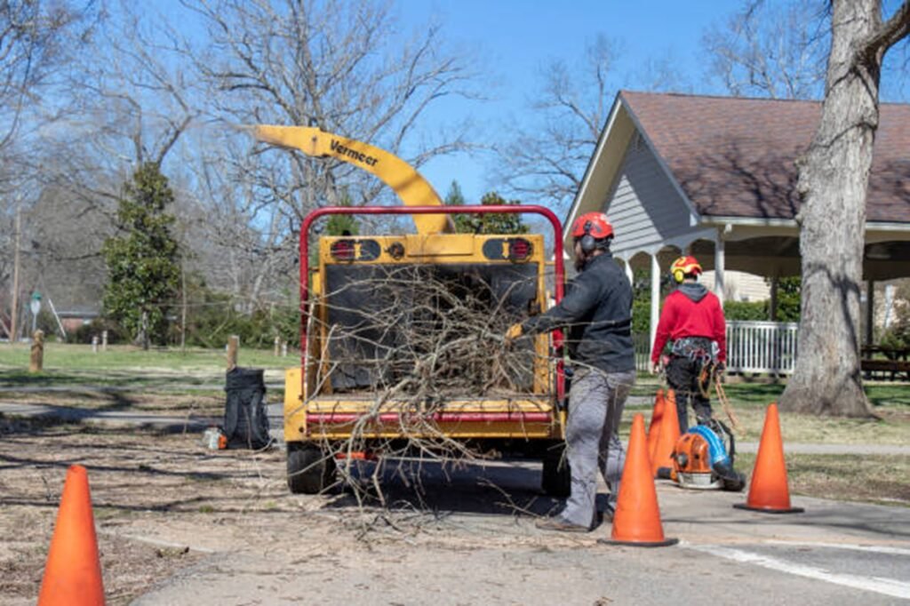 Evergreen Tree Service crew loading tree branches into a wood chipper after completing a residential tree service project in Wentzville, MO.