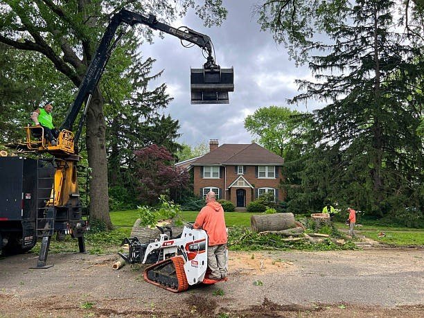 Professional tree care crew using heavy equipment to remove trimmed tree sections during a tree trimming and pruning project in Wentzville, MO.