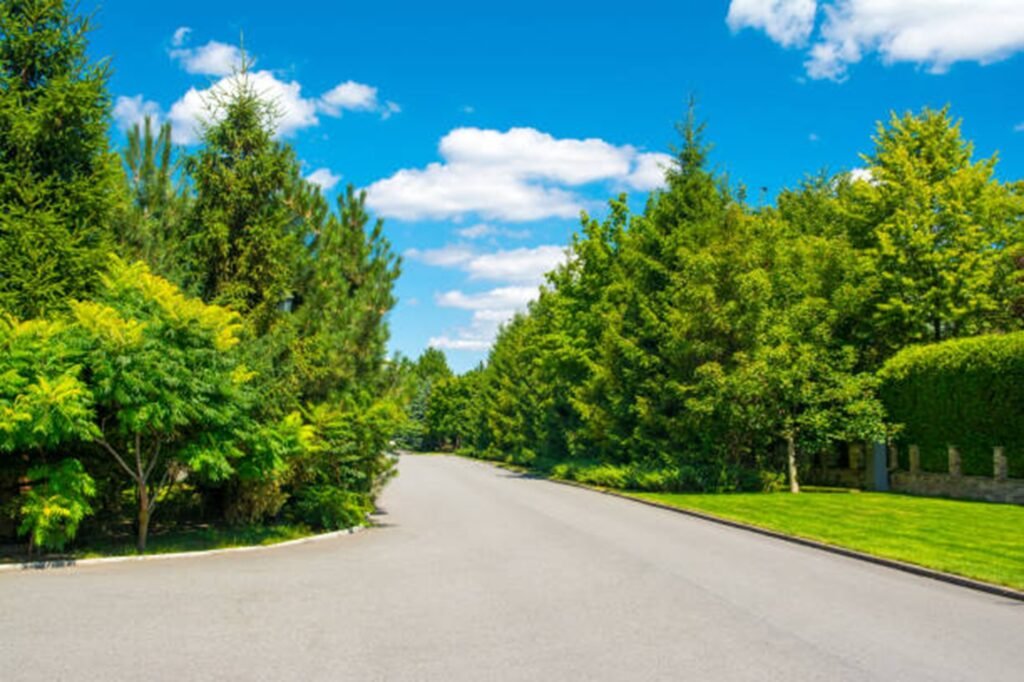 Beautiful tree-lined residential neighborhood representing the communities served by Evergreen Tree Service throughout Wentzville, MO.