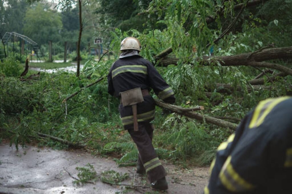Professional crew clearing fallen trees and storm debris from a residential roadway during storm damage cleanup in Wentzville, MO.