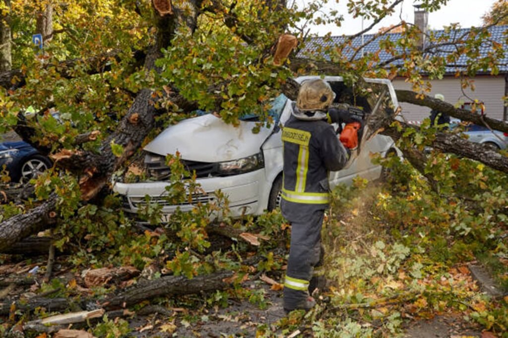 Emergency tree service crew removing a large fallen tree from a damaged vehicle after severe storm damage in Wentzville, MO.