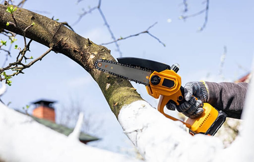 Professional arborist pruning a tree branch with a handheld chainsaw during residential tree trimming service in Wentzville, MO.
