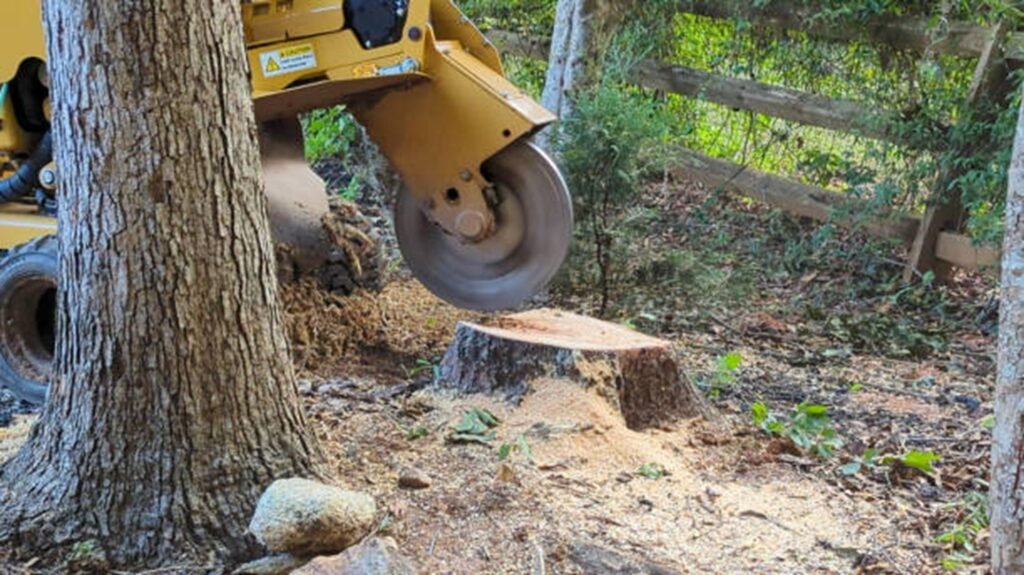 Commercial stump grinder removing a tree stump below ground level during professional stump grinding and removal service in Wentzville, MO.
