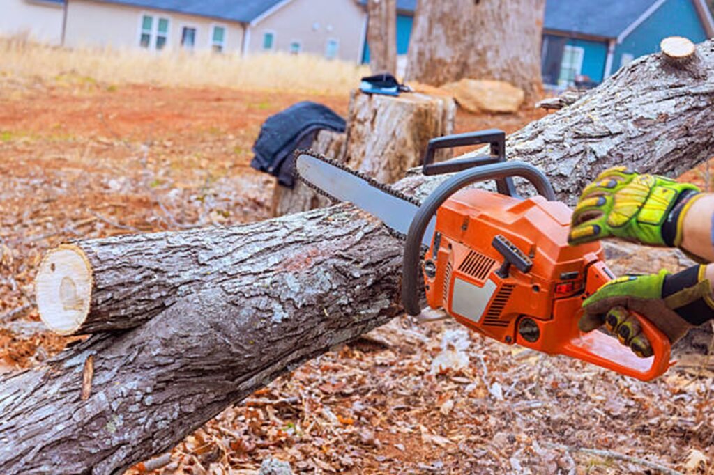 Professional chainsaw cutting through a fallen tree during emergency tree removal service at a residential property in Wentzville, MO.