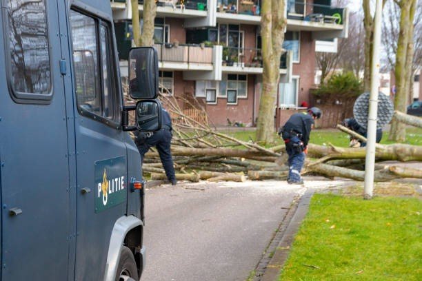Professional emergency tree service crew clearing fallen tree debris from a residential street to restore safe access