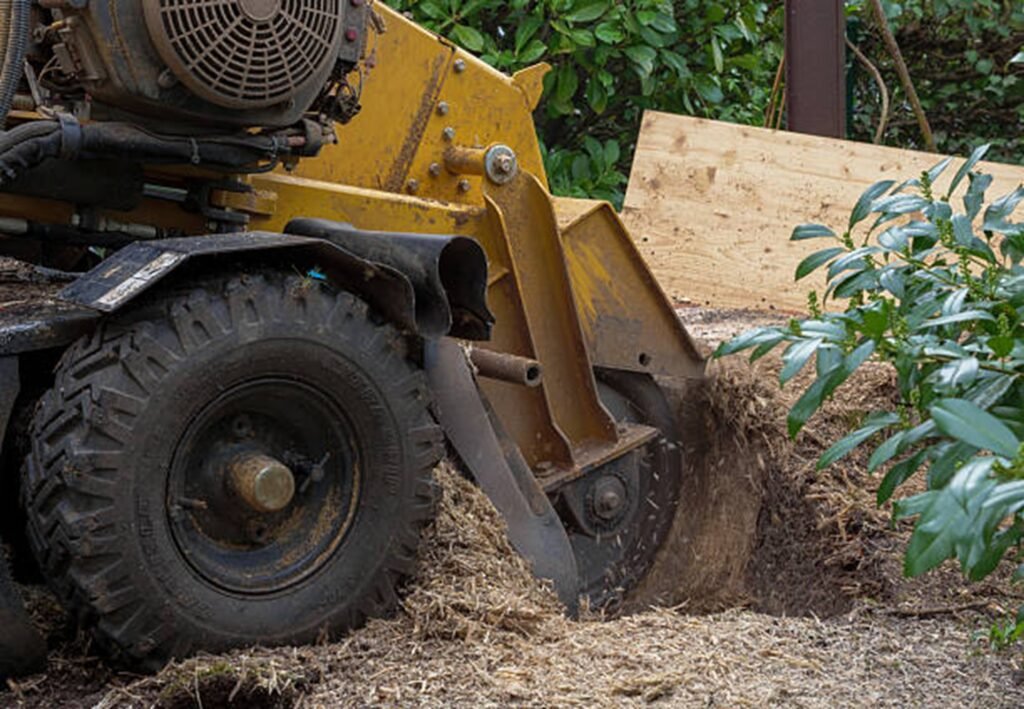 Professional stump grinding machine removing a tree stump from a residential yard during stump grinding and removal service in Maryland Heights, MO.