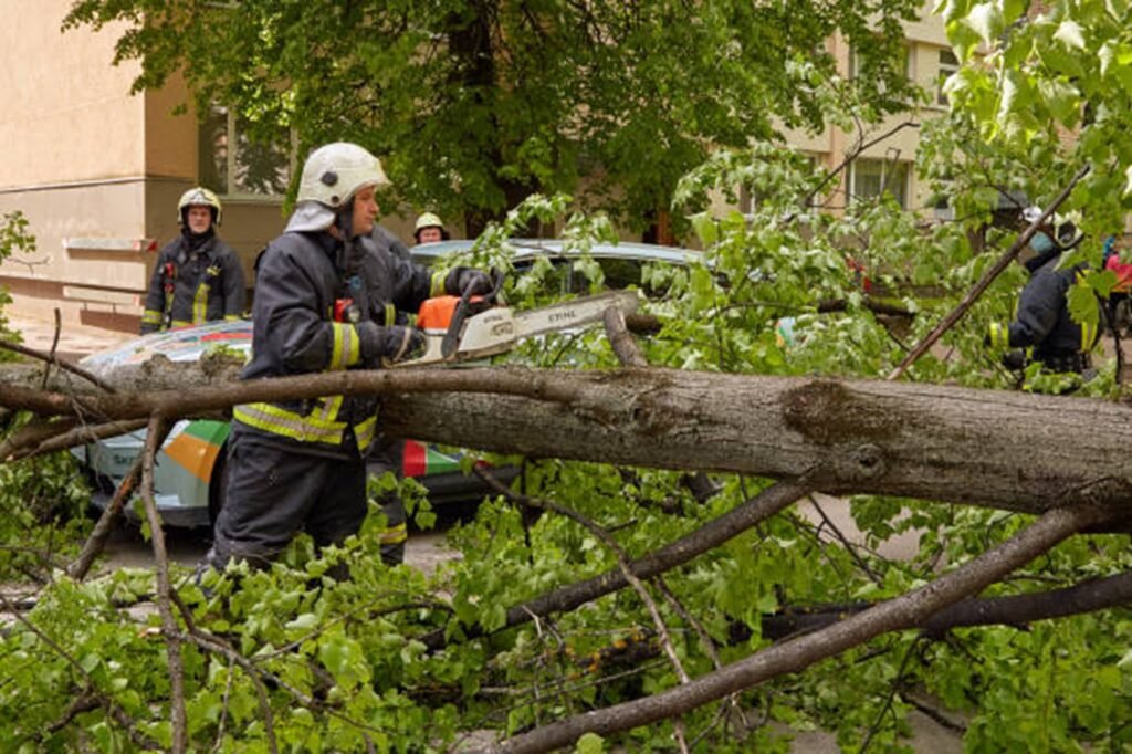 Emergency tree service crew safely cutting and removing a fallen tree blocking a residential street in Maryland Heights, MO after severe storm damage.