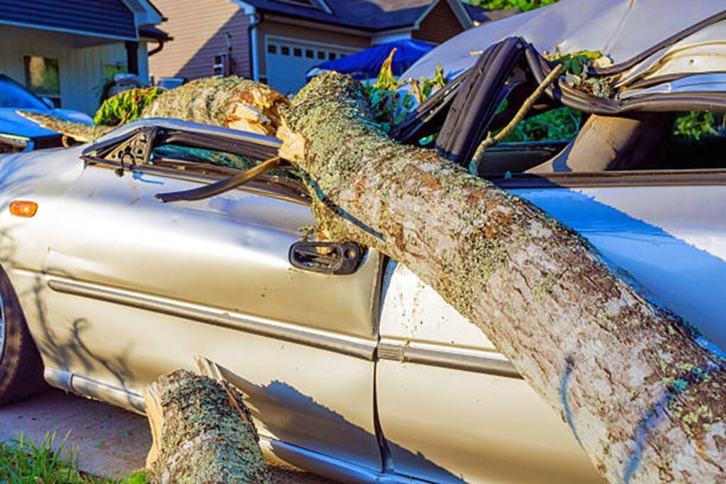Large fallen tree crushing a parked vehicle after a severe storm, highlighting the need for professional storm damage cleanup in Maryland Heights, MO.