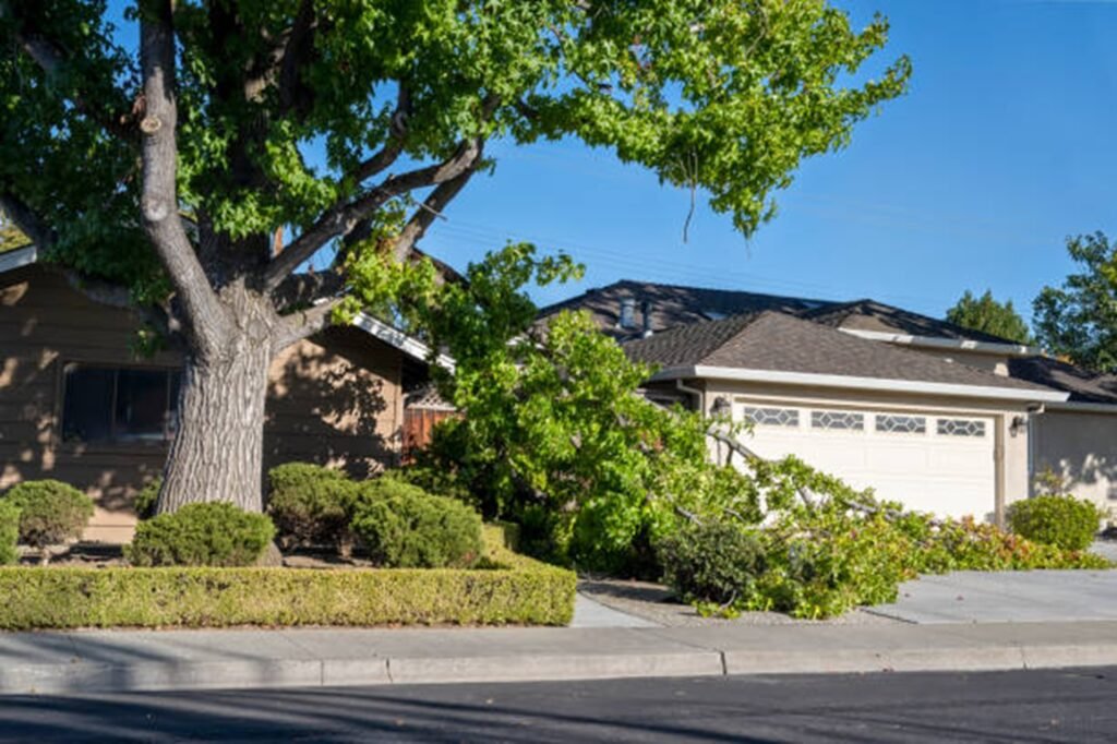 Storm-damaged tree with broken limbs blocking a residential driveway before professional storm damage cleanup in Wentzville, MO.